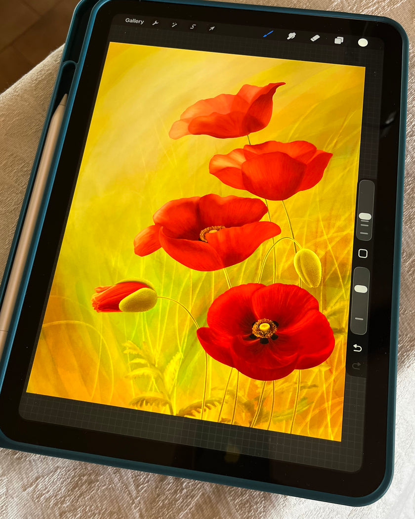 Wild Poppies | Art Print